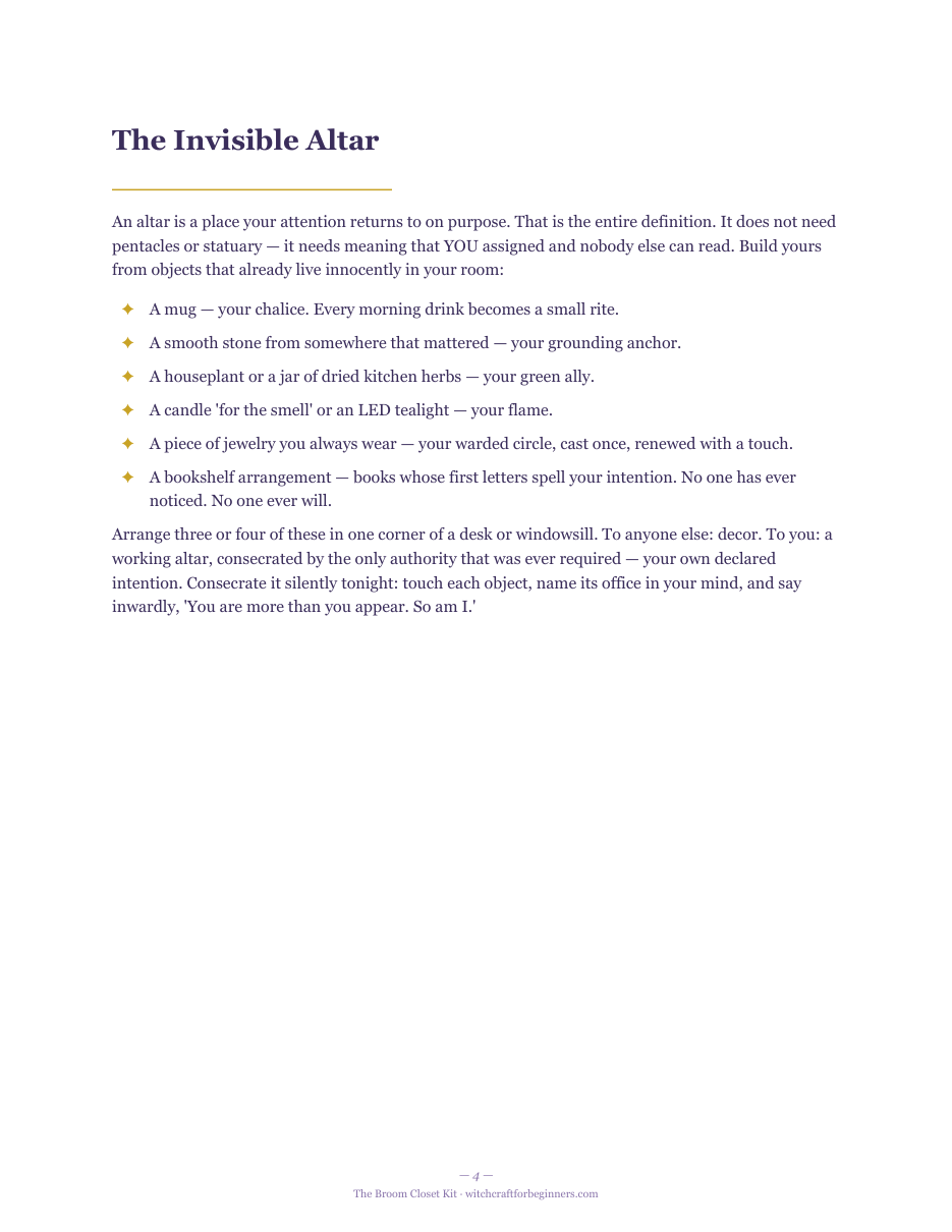 Interior page from The Broom Closet Kit